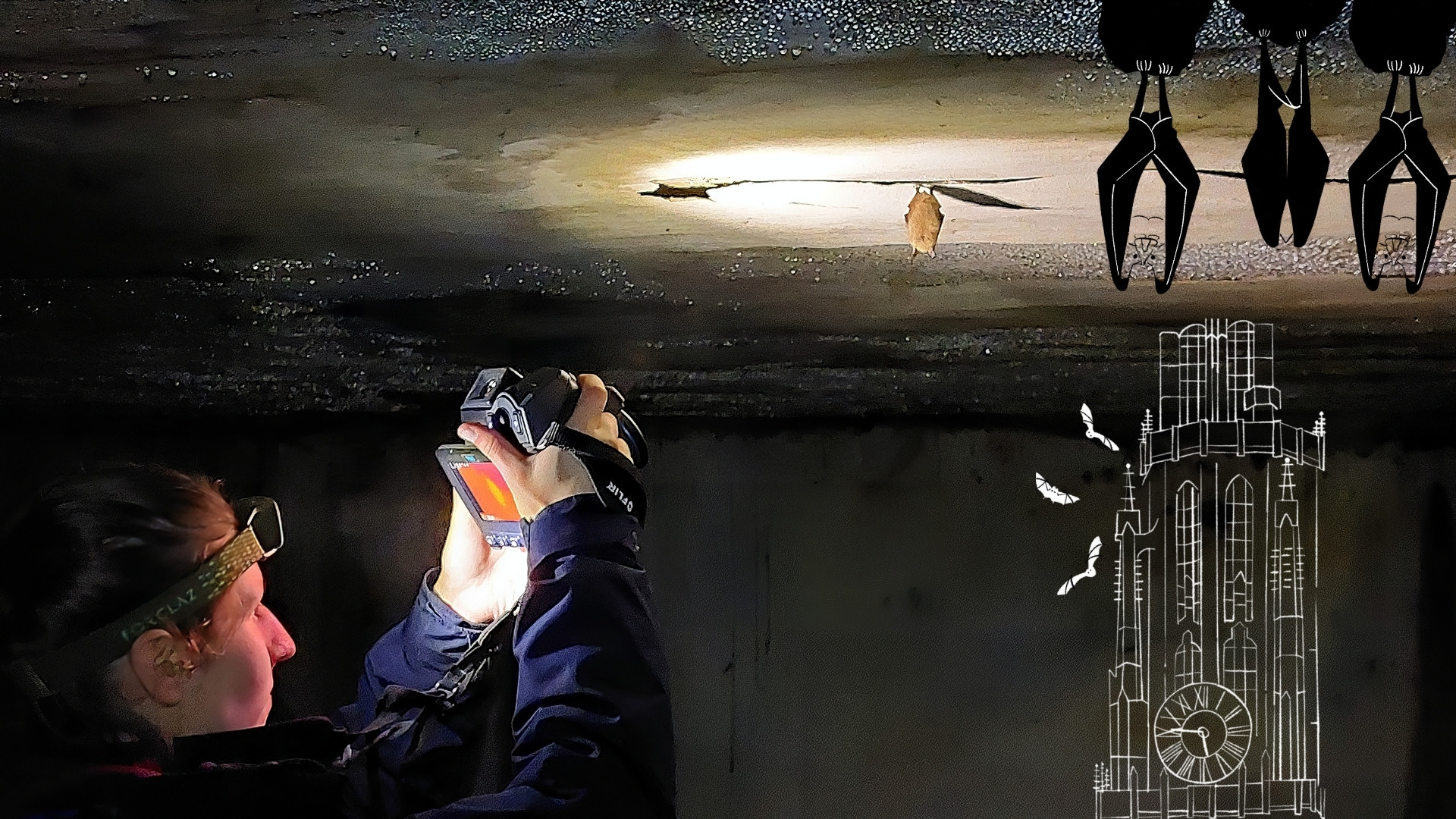 [VLEERMUIZEN OP CDE] (© [Ine Cuypers & Luc De Bruyn (extern)] | dwars)