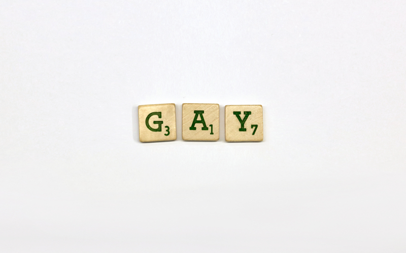 gay door het leven (© Alex Noels | dwars)