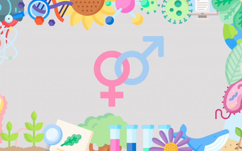 Biologie / gender (© dwars)