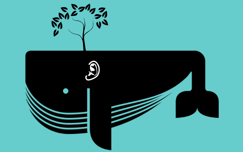 walvissen zijn bomen? (© Lie van Roeyen | dwars)
