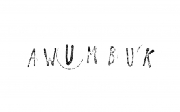 awumbuk (© Amber Peeters | dwars)