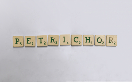 Petrichor (© Selena de Waard | dwars)